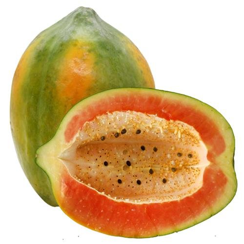 10000152 2 36 fresho papaya medium 1