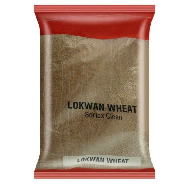 lokwan wheat 10 kg product images o491349651 p491349651 0 202203170402