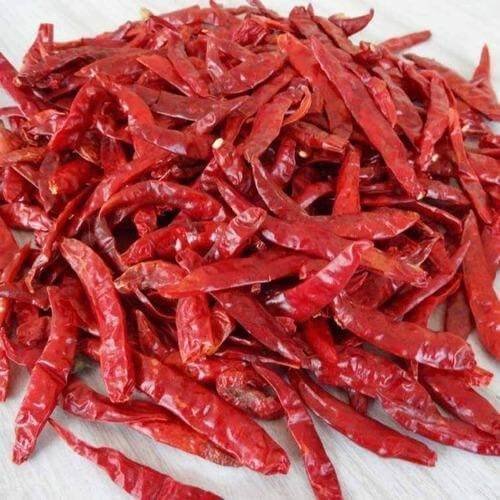 red chilli whole 500x500 jpg 500x500 1