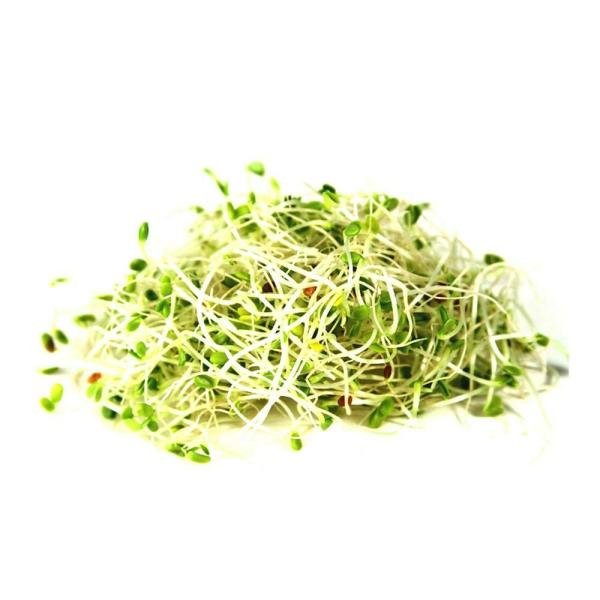 alfalfa sprouts 50 g pack product images o590003488 p590003488 0 202203150109