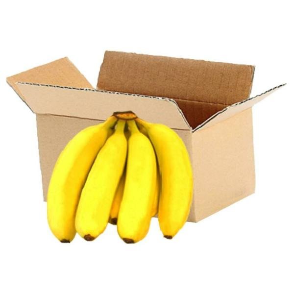 banana robusta 6 pcs box approx 800 g 1100 g product images o590001285 p590001285 0 202203170808