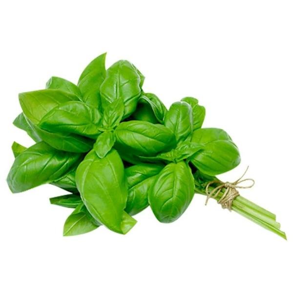 basil 1 bunch 10 g product images o590003600 p590003600 0 202203150527