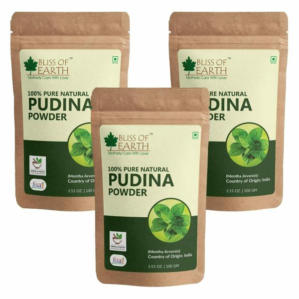 bliss of earth 100 pure natural pudina mint powder 100gm for dishes chutney pack of 3 product images orvwb4lxdbq p595783856 0 202211281741