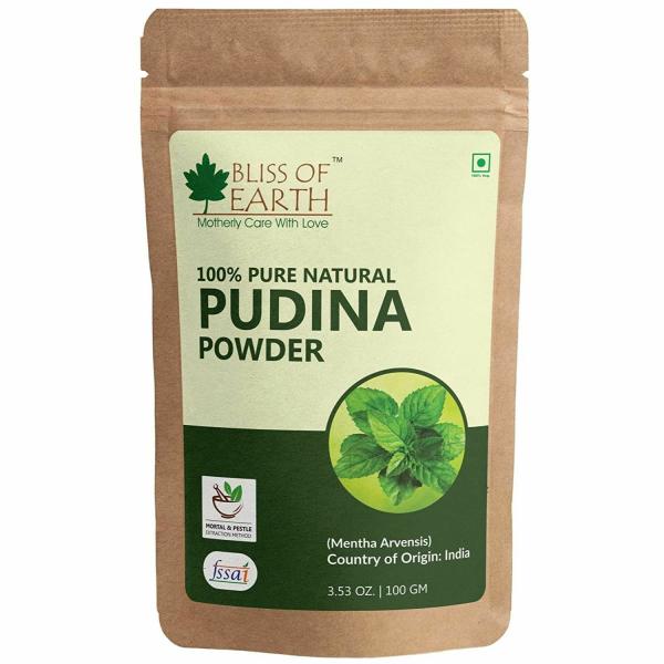 bliss of earth 100 pure natural pudina powder mint powder 100gm for chutney chinese dishes product images orv1o4m2gf7 p595782648 0 202211281720