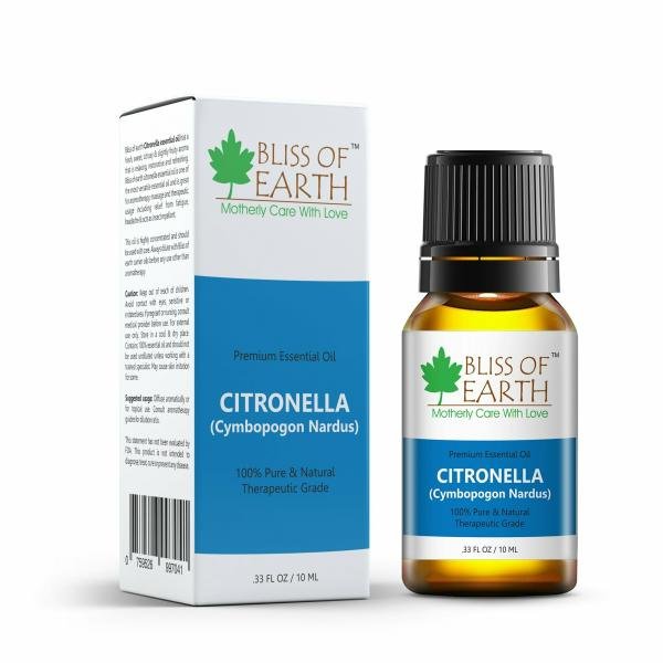 bliss of earth citronella essential oil natural pure 10ml great for hair skin refreshing aroma product images orv9q9meg9y p595184751 0 202211091657