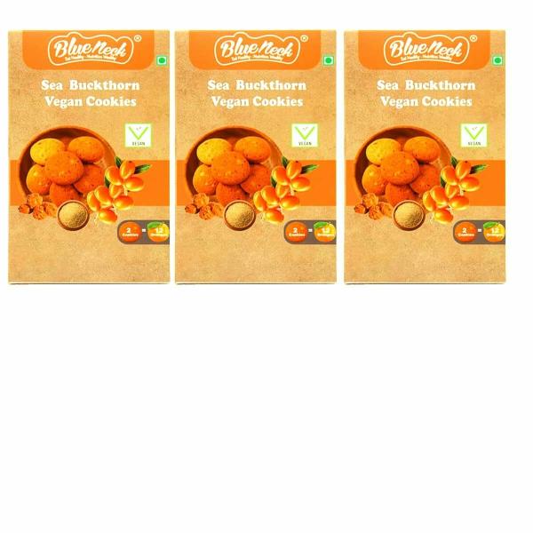 blueneck butterscotch green tea oats vegan cookies biscuit combo high protein fiber healthy biscuit for kids and adults gift pack 200 gm pack of 3 product images orv7qt6vil7 p598287433 0 202302102204