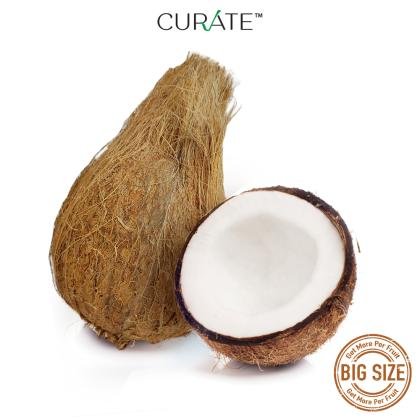 coconut madras jumbo premium indian 1 pc product images o599990347 p590860295 0 202302271947 1
