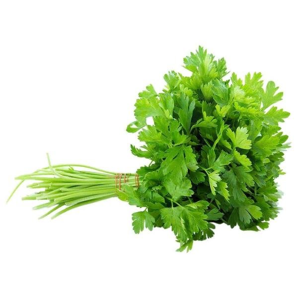 coriander bunch approx 50 g 200 g product images o590004475 p590004475 0 202203170909