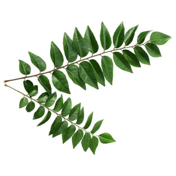 curry leaves 1 bunch approx 20 g 100 g product images o590000117 p590000117 0 202203150753