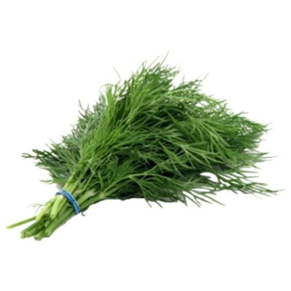 dill leaves 1 bunch approx 100 g 250 g product images o590000723 p590000723 0 202203151011