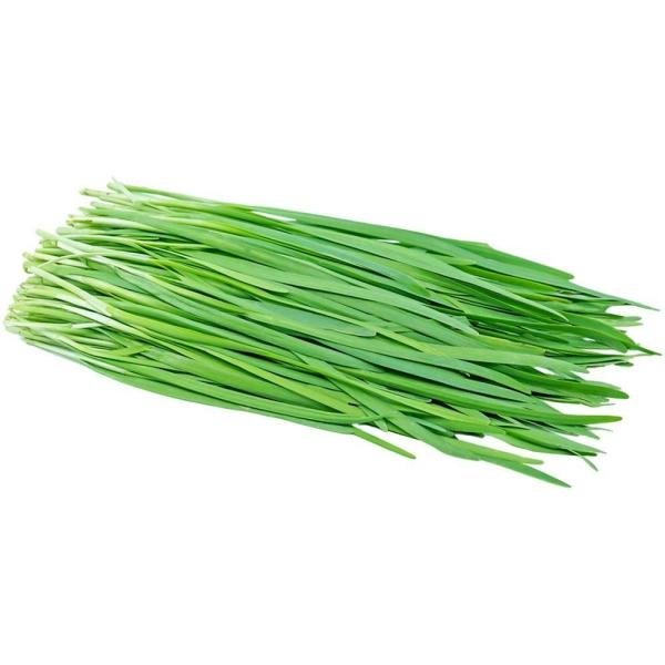 garlic chives 10 g product images o590003602 p590362820 0 202203142129