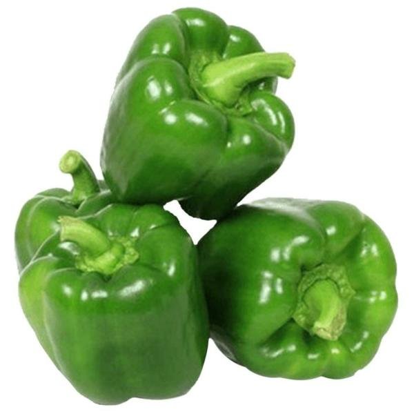 green capsicum 500 g product images o590003662 p590003662 0 202203151617