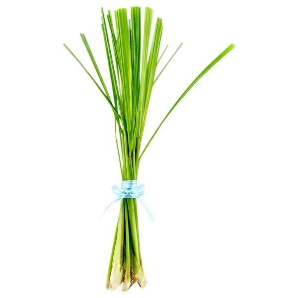 lemongrass 1 bunch approx 40 g 100 g product images o590003467 p590003467 0 202203151435