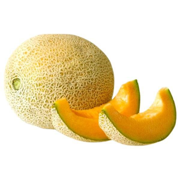 musk melon 1 pc approx 600 g 900 g product images o590001887 p591217775 0 202204111800