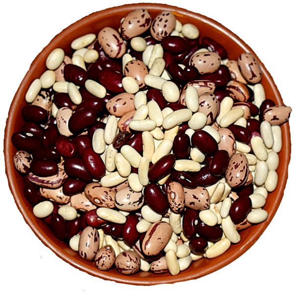 myor pahad s himalayan unpolished chotte mix rajma small mix kidney beans dry 980 gms healthy wholesome food healthy pulses gluten free produce directly harvested from uttaranchal uttarakhand product images orvomz9qvlz p594246956 0 202210040019