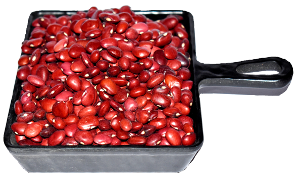 myor pahad s himalayan unpolished joshimath lal rajma red kidney beans dry 980 gms healthy wholesome food healthy pulses gluten free produce directly harvested from uttaranchal uttarakhand product images orvpqieuqjs p594243110 0 202210032153