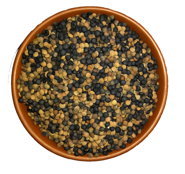 myor pahad s himalayan unpolished masoor dal black grey lentil 480 gms healthy wholesome food healthy pulses gluten free produce directly harvested from uttaranchal uttarakhand product images orvby1qk4by p594831265 0 202210271638