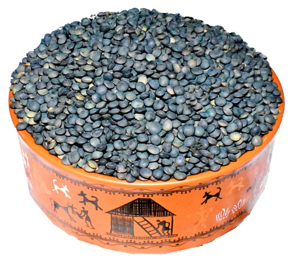 myor pahad s himalayan unpolished masoor dal black lentil 980 gms healthy wholesome food healthy pulses gluten free produce directly harvested from uttaranchal uttarakhand product images orva0corrg7 p594831313 0 202210271639