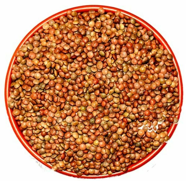 myor pahad s himalayan unpolished masoor dal brown lentil 980 gms healthy wholesome food healthy pulses gluten free produce directly harvested from uttaranchal uttarakhand product images orvsckd8oew p594831340 0 202210271641