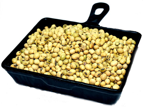 myor pahad s himalayan unpolished yellow soyabean yellow bhat rata bhat 980 grams healthy wholesome food healthy pulses gluten free produce directly harvested from uttaranchal uttarakhand product images orvg0vvnkb2 p594806855 0 202210261518