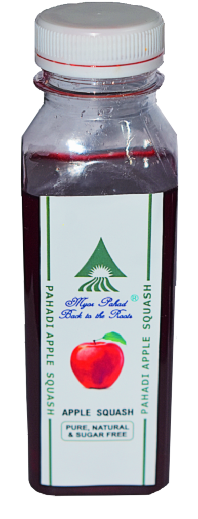 myor pahad s nature s nectar apple squash 250 ml pet jar bottle 100 natural from uttarakhand uttaranchal product images orvgpmgncsn p596624078 0 202212301355