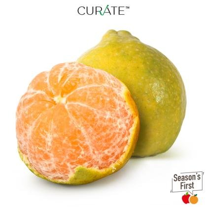 orange nagpur premium indian 6 pc approx 1 20 kg 1 45 kg product images o599991136 p591001128 0 202209142039