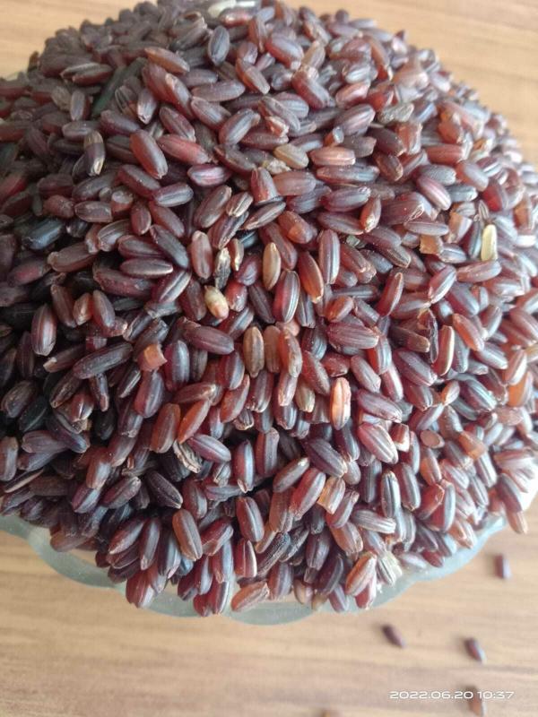 organic traditional kudavazhai rice common name as red rice 1 year rice boiled product images orvw8qfzp42 p592273140 0 202206292031