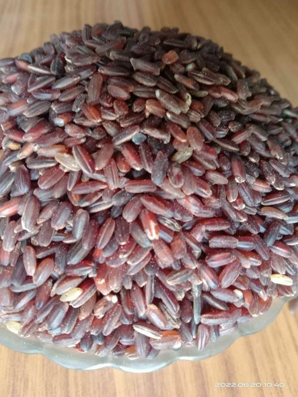 organic traditional madu mulungi rice common name as red rice 1 year rice boiled product images orvp1ksknyq p592273152 0 202206292032