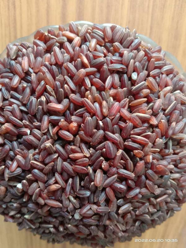 organic traditional vaadan samba rice common name as red rice 1 year rice boiled product images orvt0a3c63i p593546224 0 202208282243