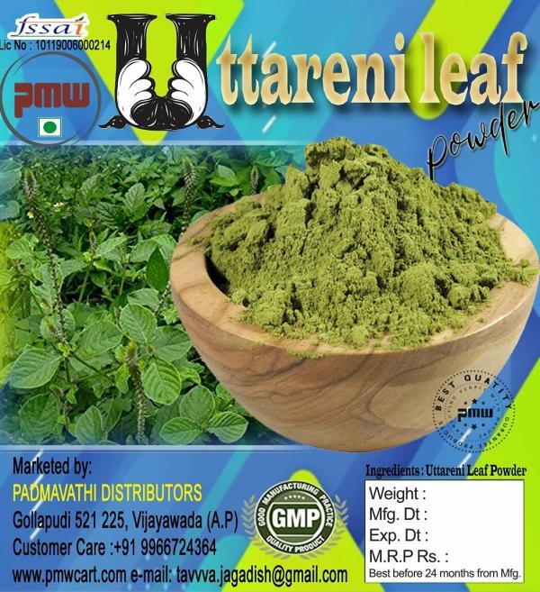 pmw apang uttareni latjira onga aghata chirchra leaf powder prickly chaff 300 grams loose packed product images orvx2vzkj0z p591720161 0 202205300320