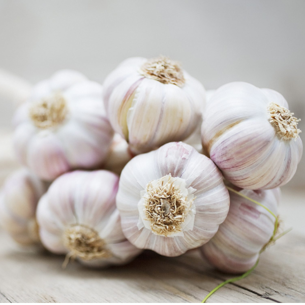 preeta mart garlic 800 g product images orvfekcbryf p594713024 0 202210210141