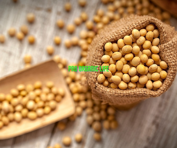 pro organic life soya bean seeds soyabean dana 2700gm product images orvc4oekw83 p596624378 0 202212241630