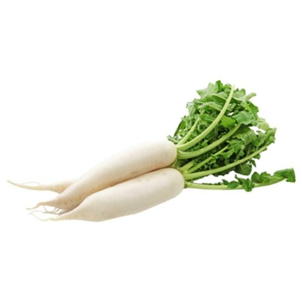 radish white 1 pc approx 80 g 150 g product images o590001892 p590001892 0 202203171016