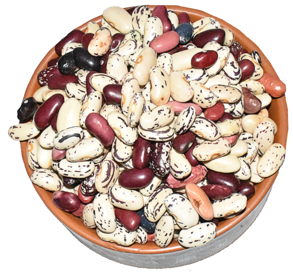 refill pack myor pahad s himalayan unpolished ramgarh mix rajma kidney beans dry 480 gms healthy wholesome food healthy pulses gluten free produce directly harvested from uttaranchal uttarakhand product images orvwxdoal6a p596335887 0 202212131603