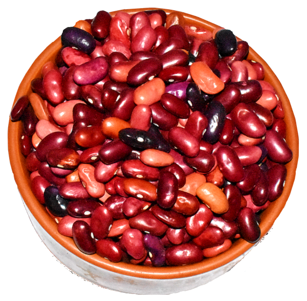 refill pack myor pahad s himalayan unpolished ramgarh mix red rajma kidney beans dry 480 gms healthy wholesome food healthy pulses gluten free produce directly harvested from uttaranchal uttarakhand product images orvckjzum9h p596335969 0 202212131609