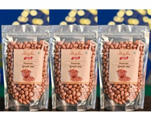 sambhojanam raw peanuts moongfali 900gm pack of 3 natural snack versatile ingredient 2700 gm product images orvfsowl8fo p595384669 0 202211171101
