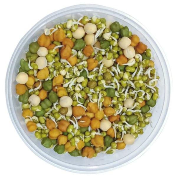 sprouts mixed 1 pack approx 200 g 250 g product images o590000255 p590000255 0 202203170518