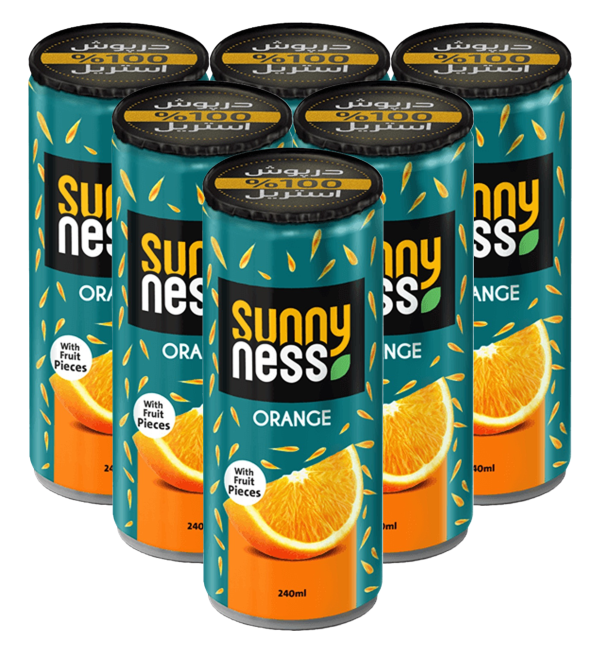 sunnyness orange juice with real fruit pieces pack of 6 240 ml in each can product images orv2iryxeuf p596897873 0 202302160701