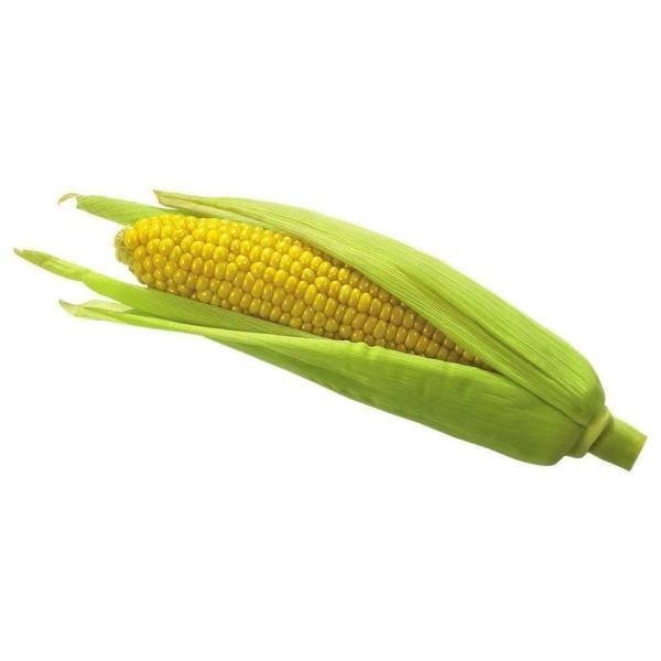 sweet corn 1 pc approx 250 g 450 g product images o590001266 p590001266 0 202203170359