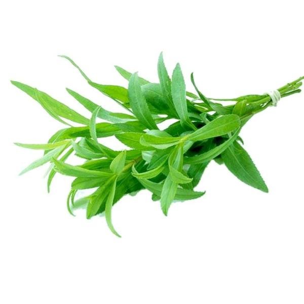 tarragon 10 g product images o590003609 p590362825 0 202203152256