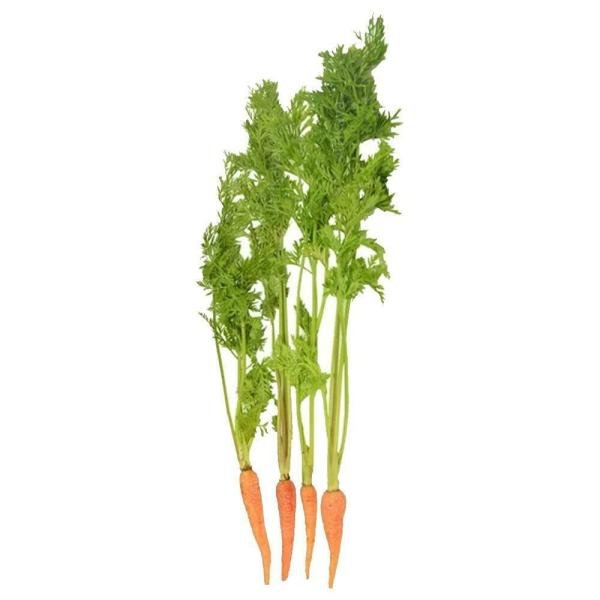 trikaya baby carrot 100 g product images o590009693 p590364613 0 202204291052