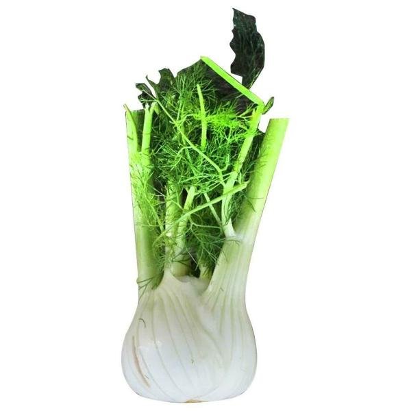 trikaya fennel 200 g product images o590009700 p590364620 0 202204291052