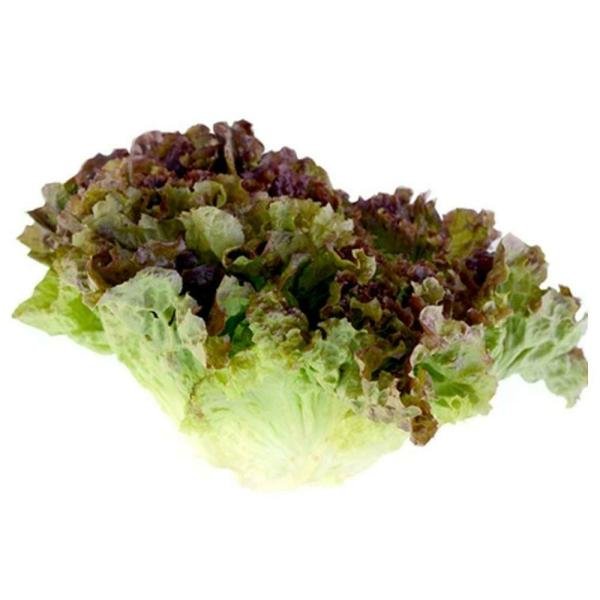 trikaya lettuce lollo rosso 250 g product images o590009679 p590364599 0 202204291052