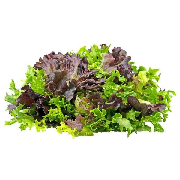 trikaya lettuce mix 500 g product images o590009684 p590364604 0 202204291052
