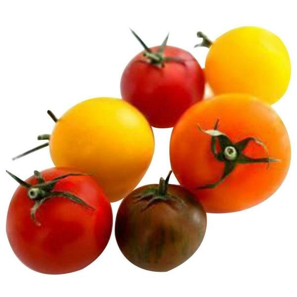 trikaya mix cherry tomatoes 250 g product images o590009727 p590364647 0 202206011141