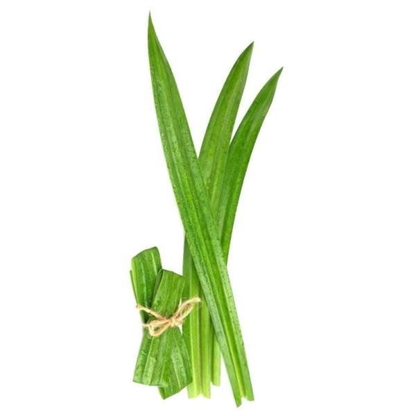 trikaya pandanus leaves 10 g product images o590009717 p590364637 0 202204291052