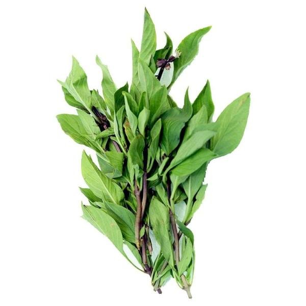 trikaya thai basil 10 g product images o590009723 p590364643 0 202206011140