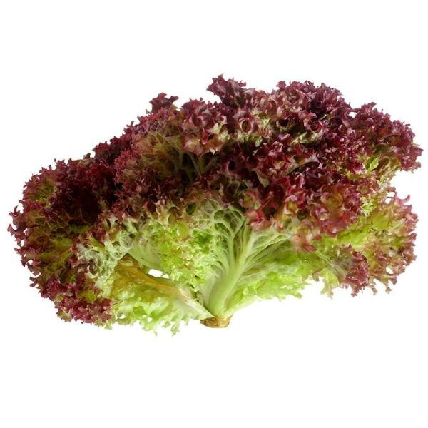 trueganic lollo rosso lettuce approx 150 g 200 g product images o600531074 p590086857 0 202206011122